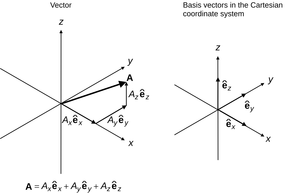 Schematic diagram illustrating Vector Coordinates